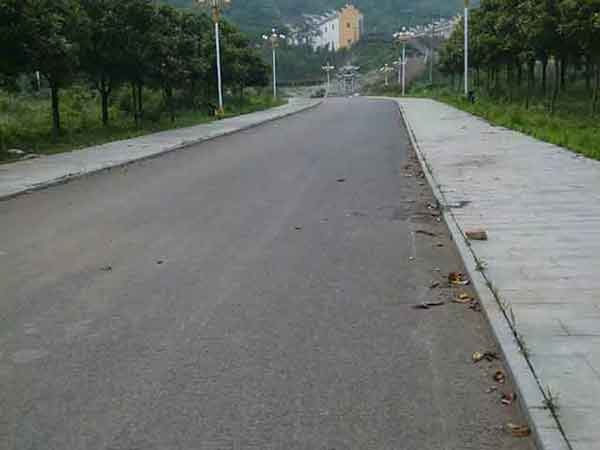 �o�������A